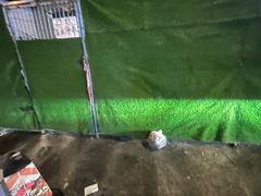 -清真·牛掌柜(奉天街店)