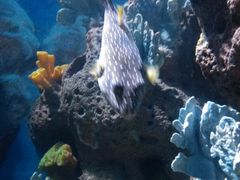 -多彩贵州城极地海洋世界