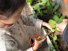 -甜心庄园·甜心草莓采摘园(西青中北店)