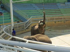 -大连森林动物园