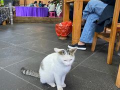 -龙姐私房菜(和顺古镇店)