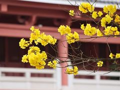 -光孝寺