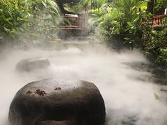 景观位-优之名鹅城
