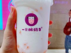 -一只酸奶牛(时代天街A馆店)