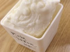 -野人先生Gelato(上海长宁龙之梦店)