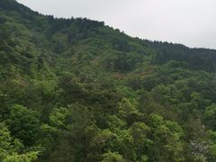 -木兰云雾山