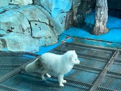 -泉城欧乐堡海洋极地世界