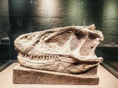 -自贡恐龙博物馆