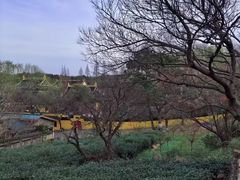 -虞山风景区