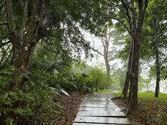 -深圳湾公园(南山区)