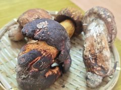 -菌极鲜野生菌火锅店(阳明祠店)