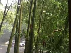 -龙井壹号·茶缘山景宴(龙井村店)