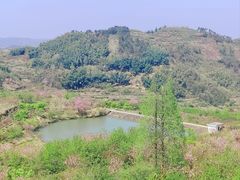 -四明山国家森林公园