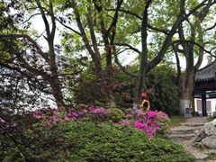 -常熟方塔园
