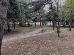 -北陵公园