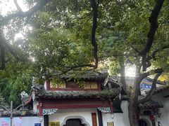 -乌山风景区