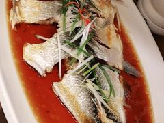 -丹江渔村(望京店)