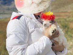 -羊卓雍措