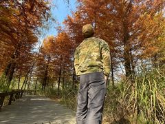 -梁鸿国家湿地公园