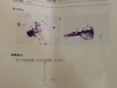 -华中科技大学同济医学院附属同济医院(汉口院区)