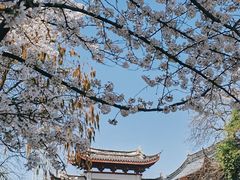 -鸡鸣寺