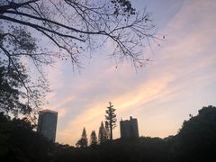 -荔香公园