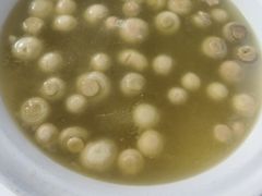 -楚鱼王·河鲜·湖北菜(华农店)
