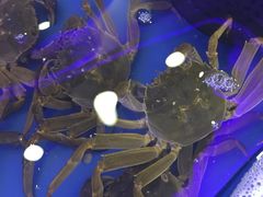 -澜悦港海鲜体验主题餐厅