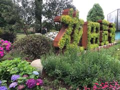 -铁山坪森林公园