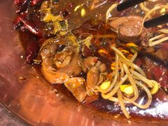 -成老灶火锅鸡·自选烧烤(汇君城店)