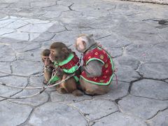 -中国马镇舞马世界主题乐园