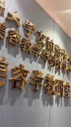 -南京医科大学友谊整形外科医院