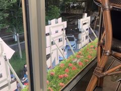-宝荣鱼馆·临湖之宴(千岛湖店)