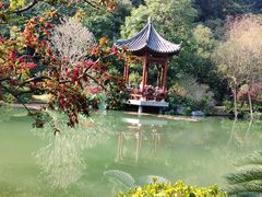 -云溪植物园