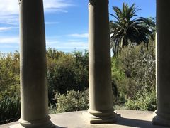 -墨尔本皇家植物园