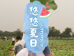 -西青郊野公园