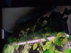 -仟汇足道·SPA(秀洲总店)