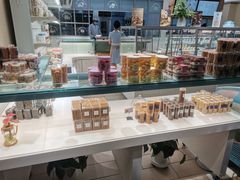 -蒲公英(五里店)