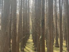 -采石矶景区