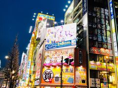 -秋叶原电器街