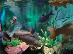 -沈阳海洋探索中心