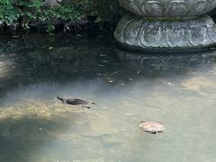 -南北湖风景区