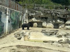 -黔灵山公园