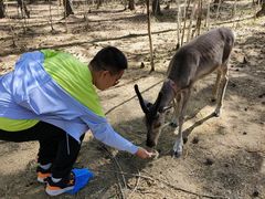 -北极村旅游风景区