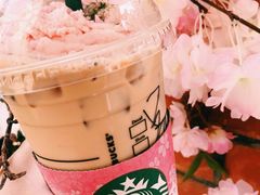 -星巴克臻选(思南公馆店)