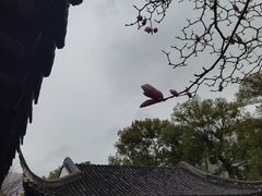 -台州府城(东湖)