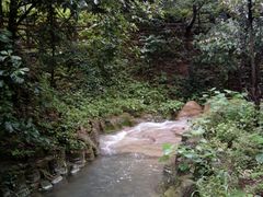 -湖南嵩云山国家森林公园