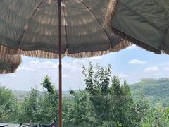 -桃源山庄·水蜜桃采摘·柴火鸡·烧烤团建(龙泉山店)