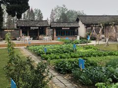 -金谷域澳洲庄园