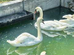 -水上乐园·欢乐世界